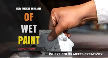 Understanding Wet Paint Thickness: Essential Tips for Perfect Application