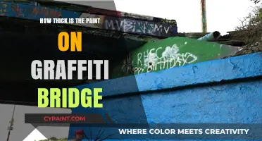 Graffiti Bridge Paint Thickness: Unveiling the Artistic Layers