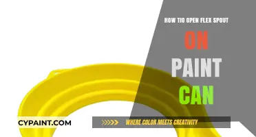 Effortlessly Access Your Paint: Mastering the Flex Spout Opening Technique