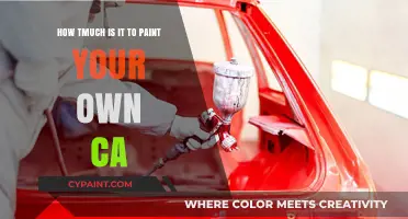 Custom Car Paint Jobs: How Much Do They Cost?