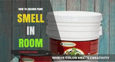 Quick Tips to Eliminate Paint Odor in Your Room Fast