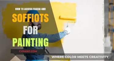 Mastering Fascia and Soffit Painting: Access Tips for a Flawless Finish