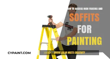 Accessing High Fascias and Soffits: Painting Preparation