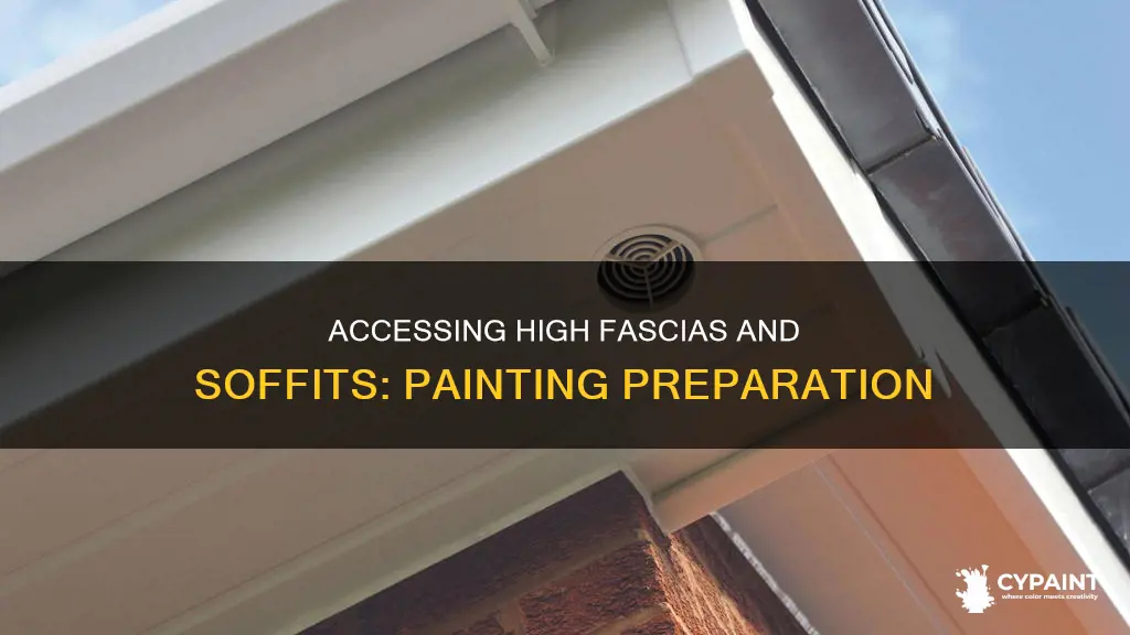 how to access high fascias and soffits for painting