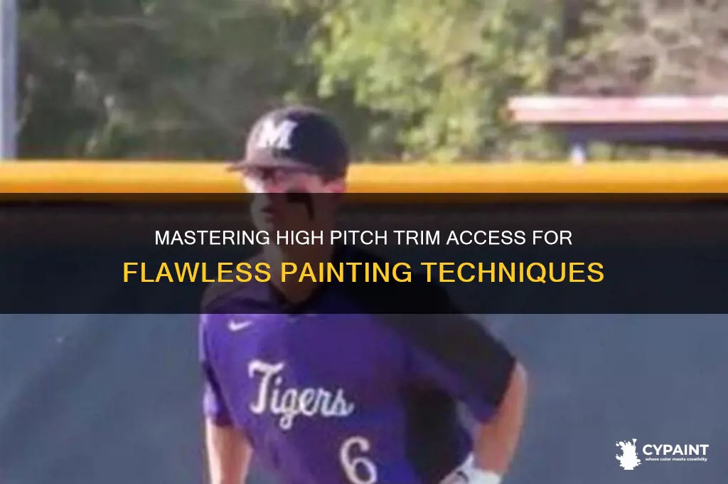 how to access high pitch trim to paint