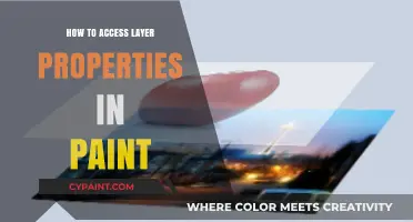 Mastering Paint: Accessing and Editing Layer Properties Like a Pro