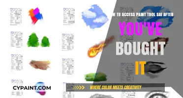 Accessing Paint Tool SAI: A Step-by-Step Guide Post-Purchase