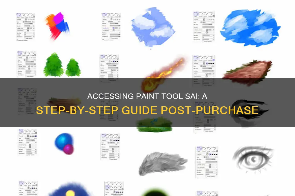 how to access paint tool sai after you