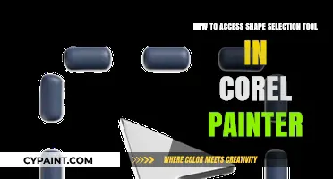 Unlocking Shape Selection in Corel Painter