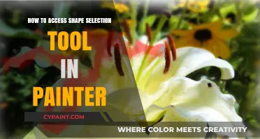 Mastering Painter: Accessing the Shape Selection Tool Effortlessly