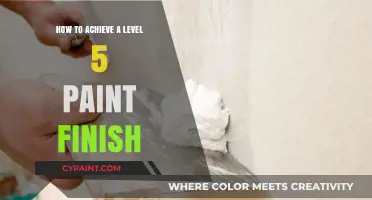 Mastering the Art of a Flawless Level 5 Paint Finish