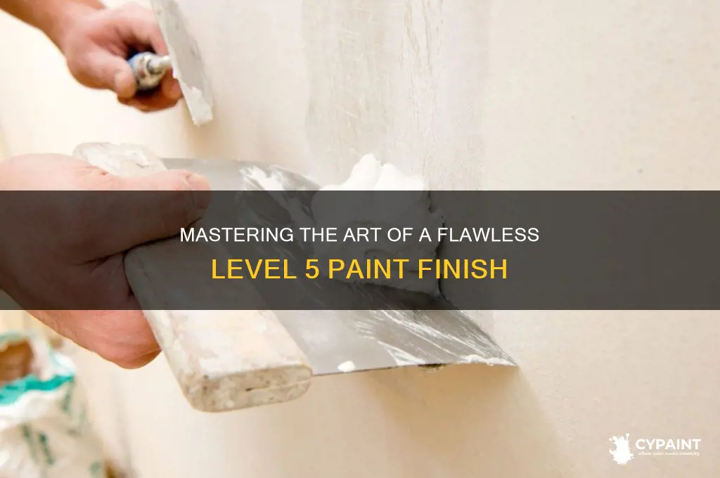 how to achieve a level 5 paint finish