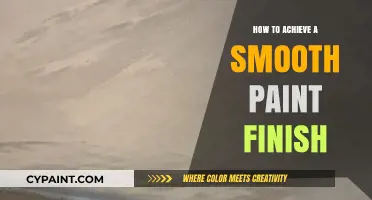 Mastering the Art of a Flawless, Smooth Paint Finish