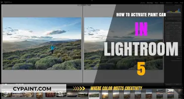 Unleash Your Creativity: Activating the Paint Can Tool in Lightroom 5