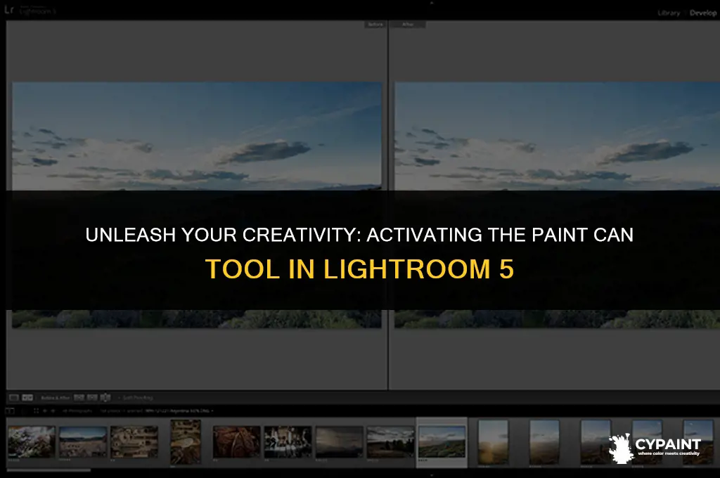 how to activate paint can in lightroom 5
