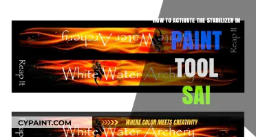 Stabilizer Activation in Paint Tool SAI: A Quick Guide
