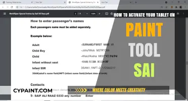 Activating Your Tablet on Paint Tool SAI