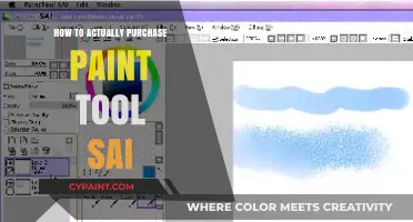 Step-by-Step Guide to Buying Paint Tool SAI Legally and Easily