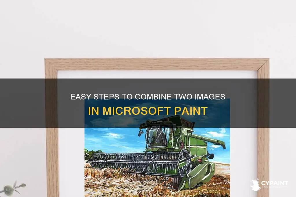 how to add 2 pics to a paint