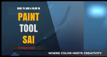 Mastering Blur Effects in Paint Tool SAI