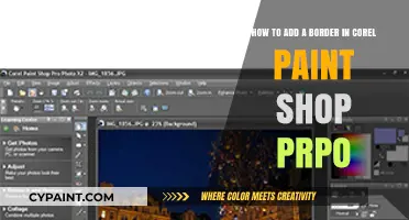 Mastering Borders: A Simple Guide to Adding Borders in Corel PaintShop Pro