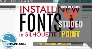 Customizing Clip Studio Paint: Adding Your Own Fonts