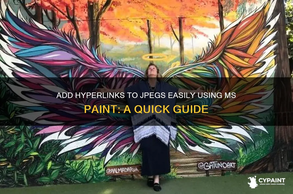 how to add a hyperlink to a jpeg in paint
