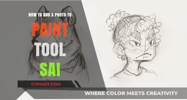 Paint Tool Sai: Adding Photos Like a Pro
