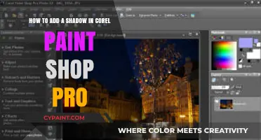 Mastering Shadows: Adding Depth in Corel Paint Shop Pro Easily