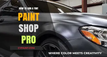 Master Tinting Techniques in PaintShop Pro for Stunning Photo Effects