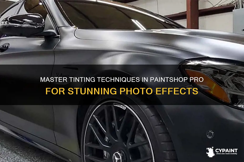 how to add a tint paint shop pro
