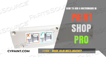 Watermarking in Paint Shop Pro: A Step-by-Step Guide