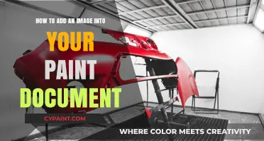 Inserting Images: Paint Document Guide
