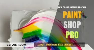 Quick Steps to Insert Photos in Paint Shop Pro