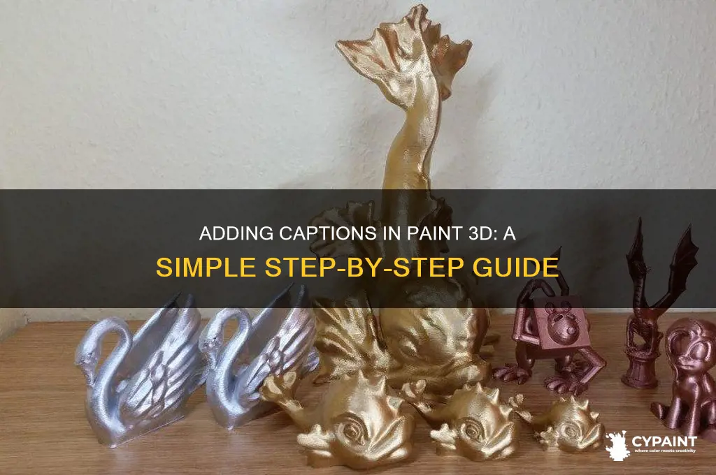 how to add captions in paint 3d