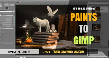 Mastering GIMP: Adding Custom Paints for Unique Artistic Effects