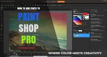 Mastering Paint Shop Pro: A Step-by-Step Guide to Adding Custom Fonts