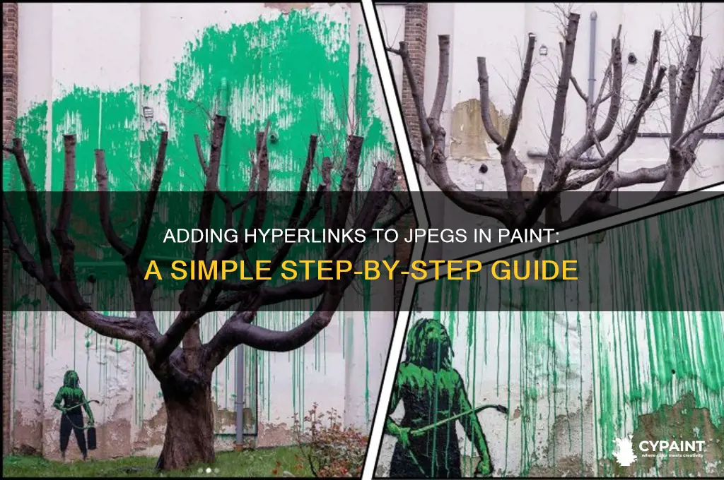 how to add hyperlink to jpeg in paint