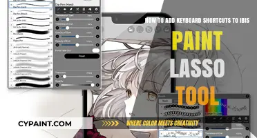 Master Ibis Paint: Add Keyboard Shortcuts to Lasso Tool Easily