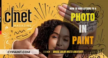 Enhance Your Photos with Paint: Adding Textual Twist