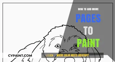 Expand Your Creativity: Adding More Pages to Paint Effortlessly