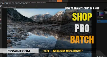 Adding Your Script to Paint Shop Pro Batch: A Step-by-Step Guide