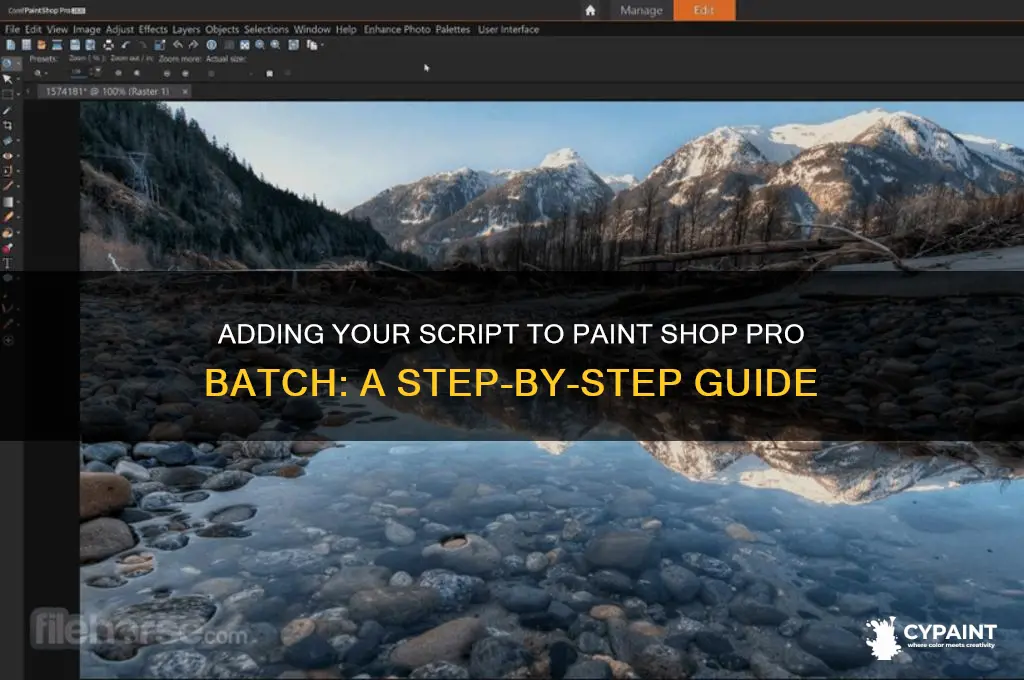 how to add my script to paint shop pro batch