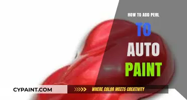 Enhance Your Auto Paint Process by Integrating Perl Scripting Techniques