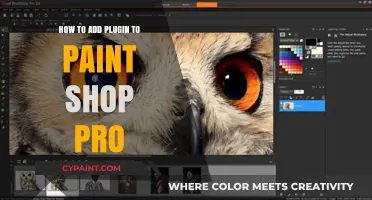 Enhance Your Editing: A Guide to Adding Plugins in PaintShop Pro