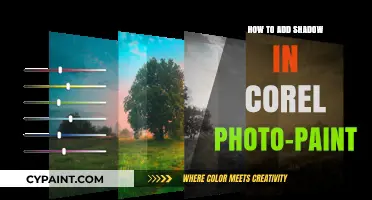 Mastering Shadows: A Guide to Adding Depth in Corel PHOTO-PAINT
