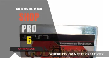 A Beginner's Guide: Adding Text in Paint Shop Pro 5