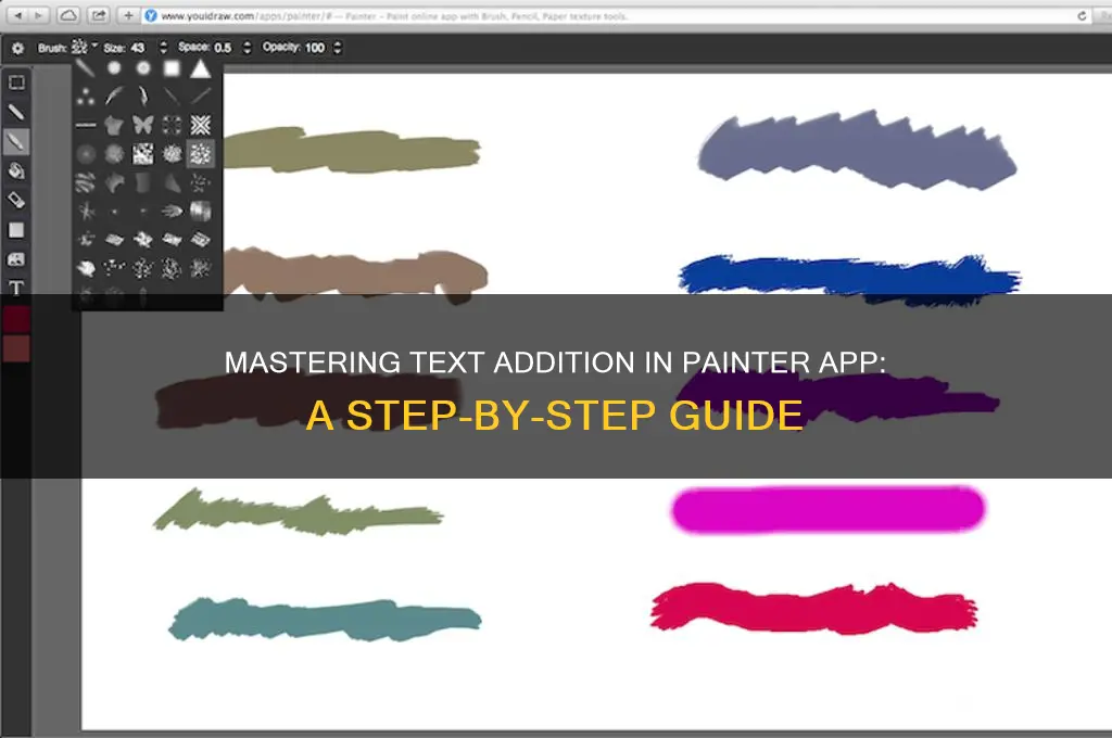 how to add text on painter app