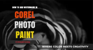 Master Watermarking: Add Watermarks in Corel Photo-Paint Easily