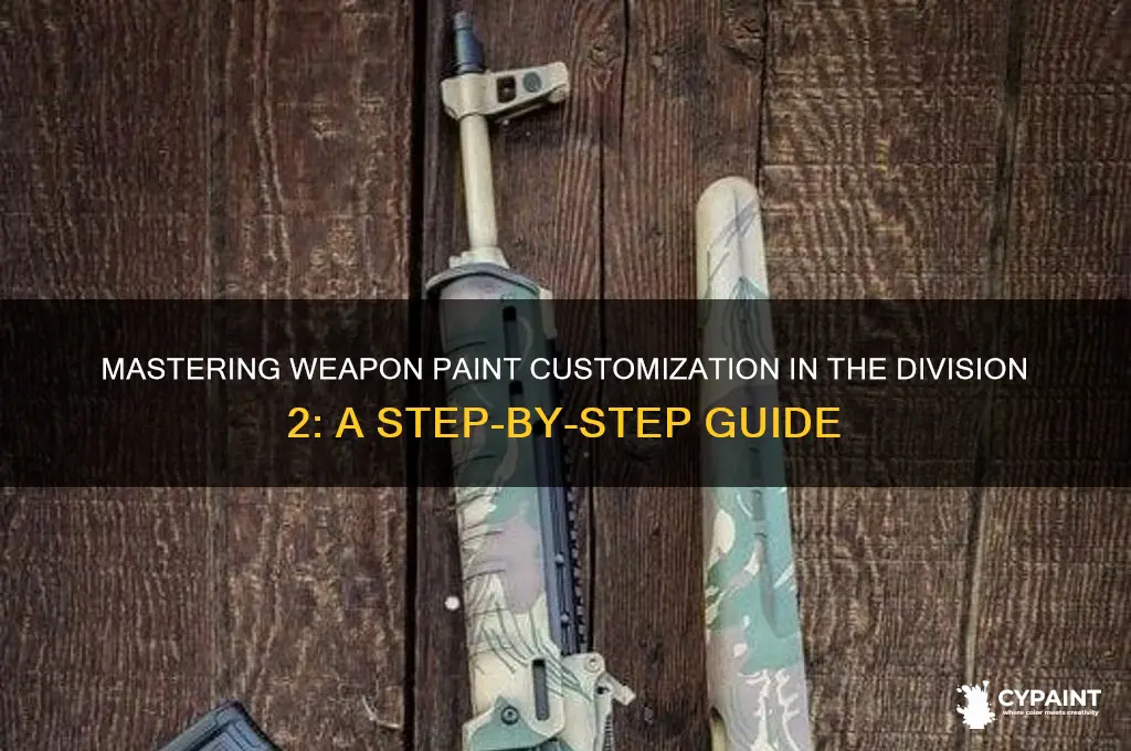 how to add weapon paint division 2